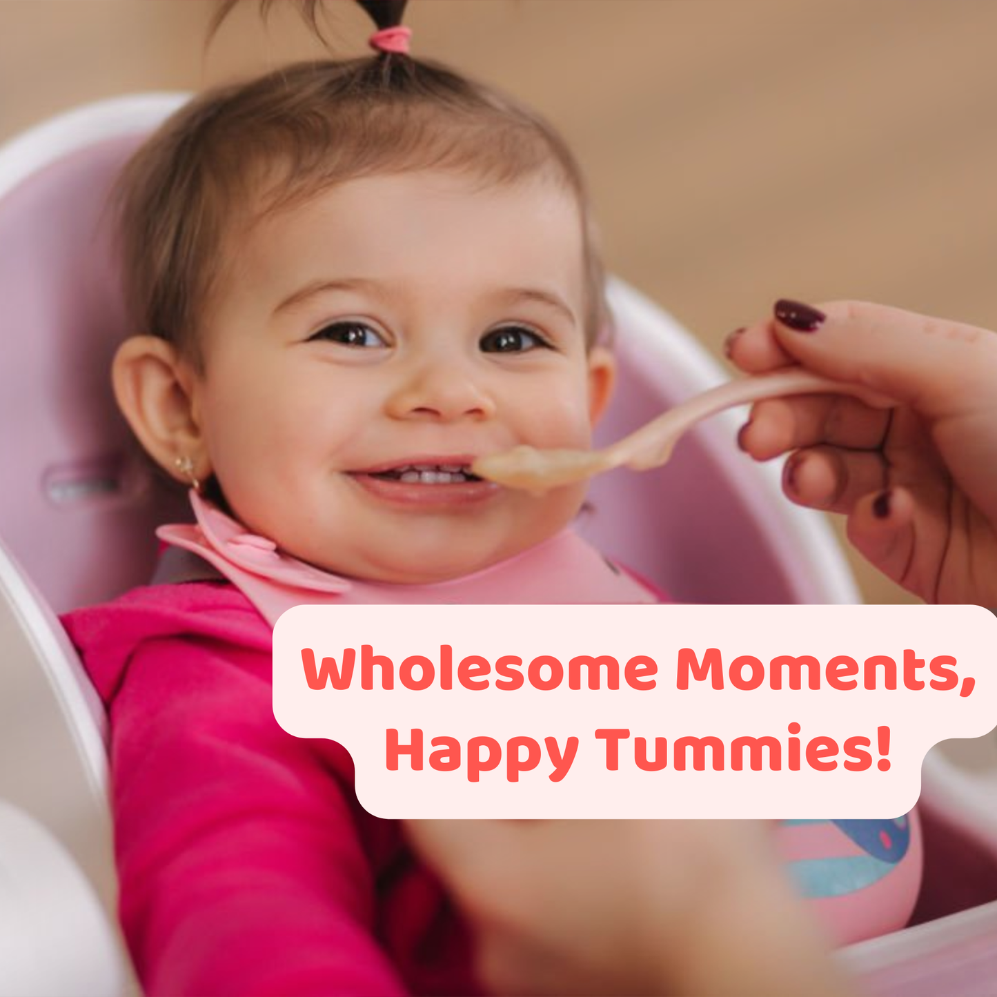 Whole Wheat Porridge Mix for 6+ Months | No Salt | No Added Sugar